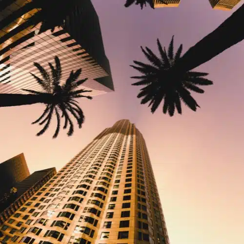 Types Of Citizenship And Naturalization In Los Angeles California