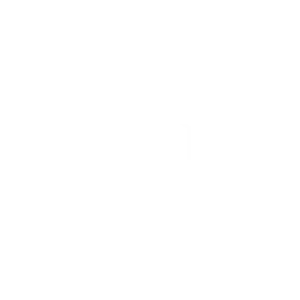 Shane Badge 2025 white