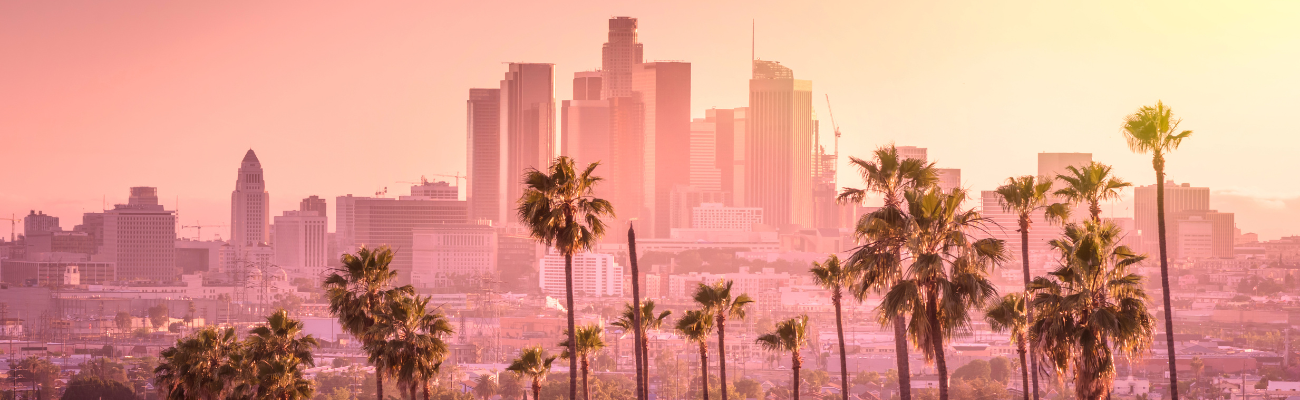 Blaker And Granet Llc In Los Angeles California View Of Los Angles County