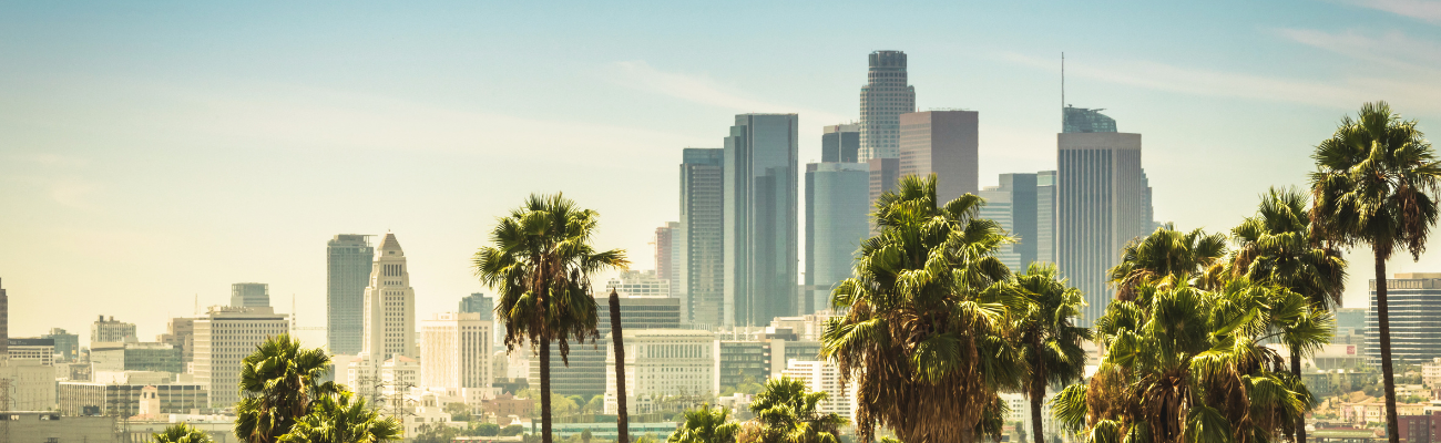 Family Immigration Lawyers Los Angeles Blaker And Granet Llc